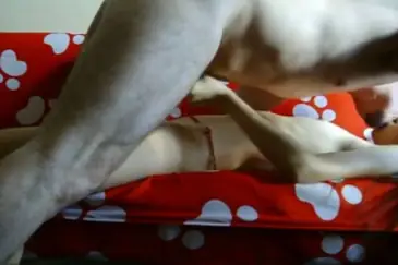 Skandal Hotel Mewah ABG Bispak Nyari Cuan 2026